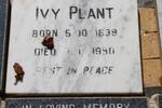 PLANT Ivy 1899-1990