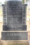LAPIDOS David -1962