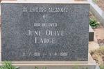 LARGE June Olive 1931-1988