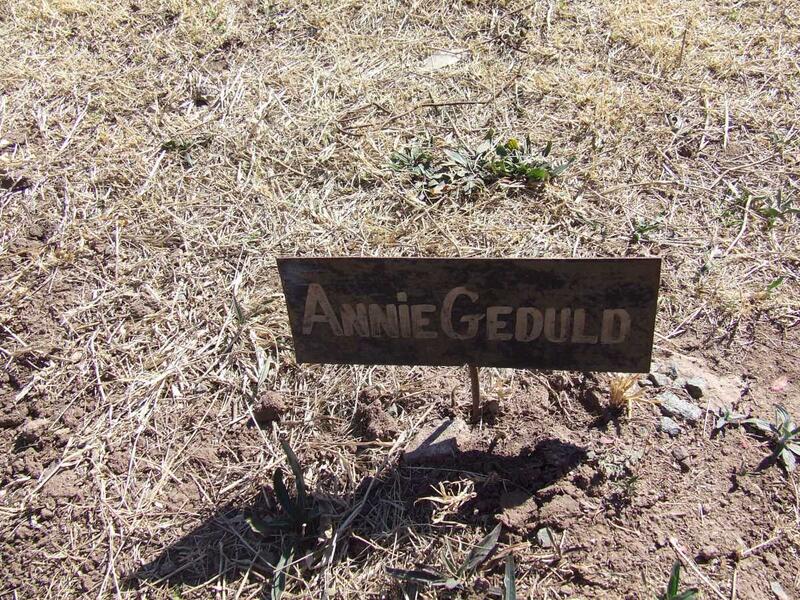 GEDULD Annie