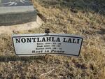 LALI Nontlahla 1999-2005