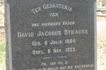 STRAUSS David Jacobus 1864-1933