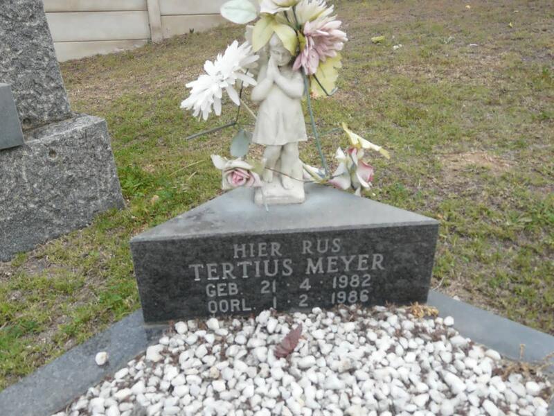 MEYER Tertius 1982-1986