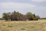 Limpopo, BELA-BELA district, Sondela Nature Reserve, Tweefontein 462_1, farm cemetery