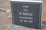 HAYES G. -1901