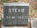 ? Stevie  1946-1977