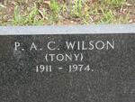 WILSON P.A.C. 1911-1974