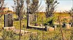 Free State, REITZ district, De Molen 480, farm cemetery
