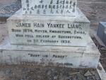 LAING James Hain Yankee 1874-1935