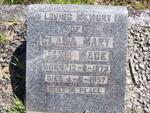 MACE Clara Mary Jane 1873-1957