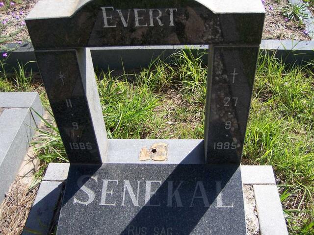 SENEKAL Evert 1985-1985