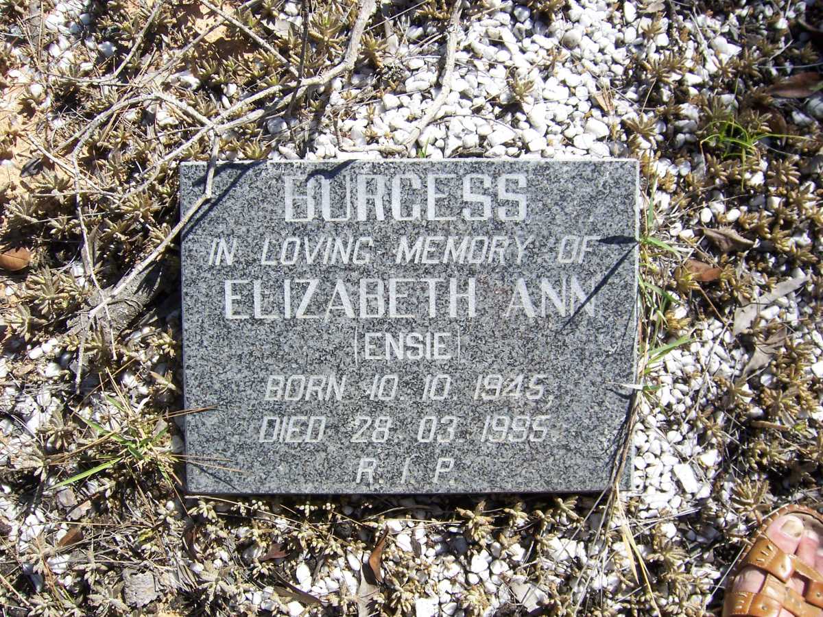 BURGESS Elizabeth Ann 1945-1995