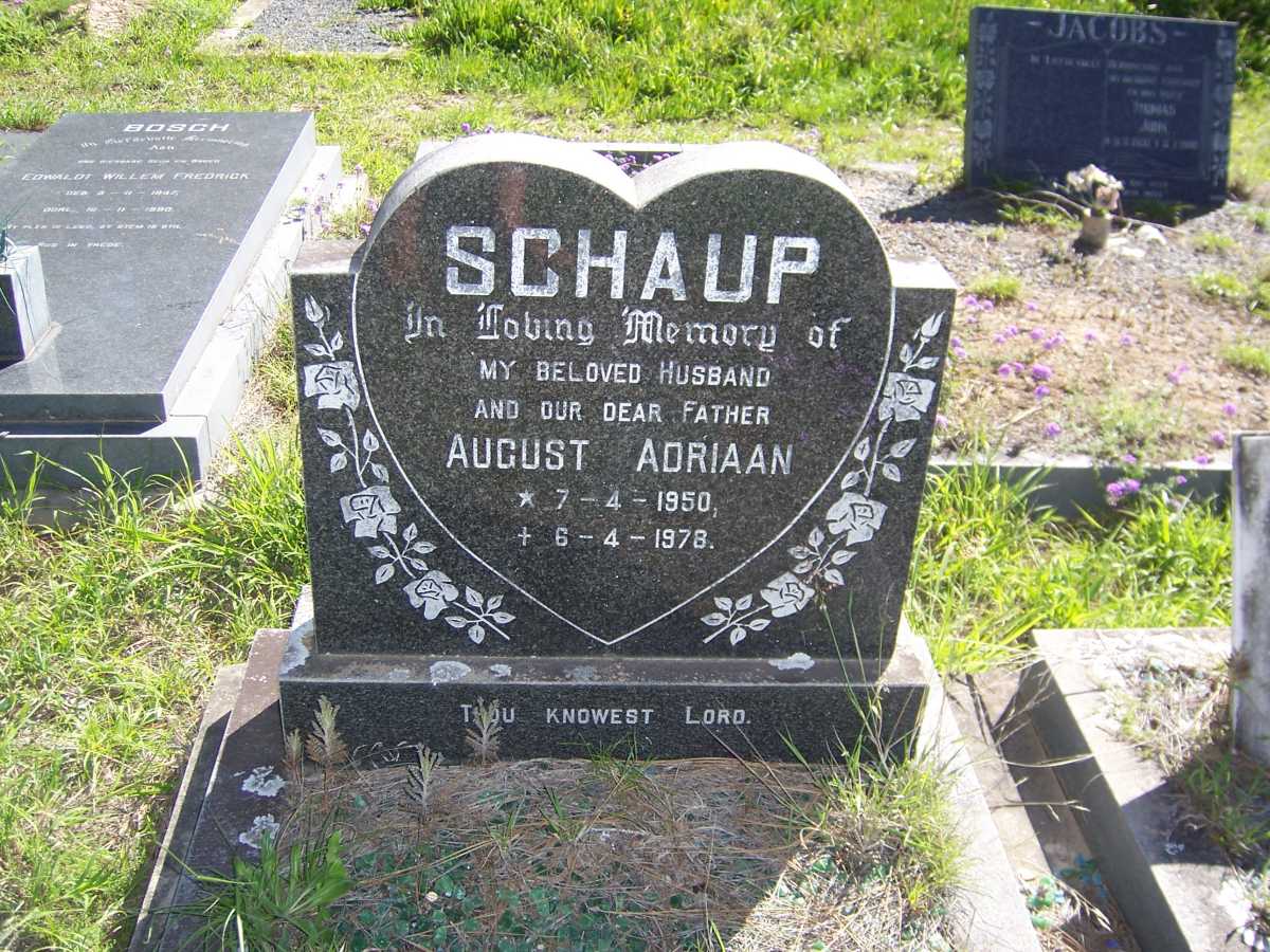 SCHAUP August Adriaan 1950-1978
