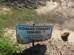 TAMARA Godwana Tozama 1978-2005