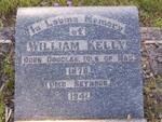 KELLY William 1876-1941