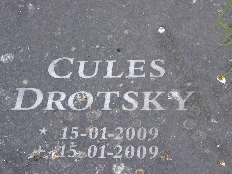 DROTSKY Cules 2009-2009