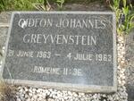 GREYVENSTEIN Gideon Johannes 1963-1963