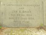 BRINK Jan G. 1854-1934
