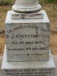 GREYVENSTEYN S.J. 1874-1921