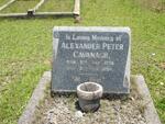 CAVANAGH Alexander Peter 1870-1924