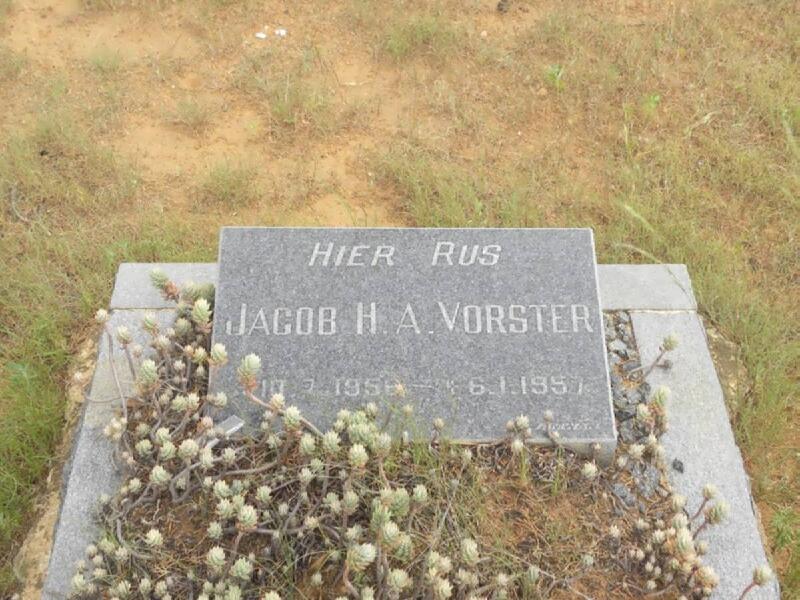 VORSTER Jacob H.A. 1956-1957