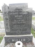 MULLER Anthonie Michael 1887-1960