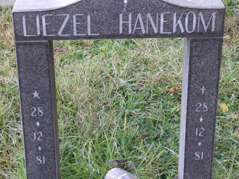 HANEKOM Liezel 1981-1981