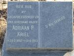 KRIEL Adriaan P. 1892-1963