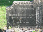 HOPPER Joseph William 1874-1959