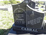 CABRAL Izidro 1972-2001