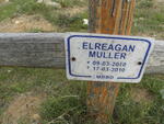 MULLER Elreagan 2010-2010