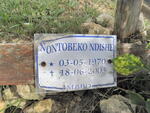 NDISHE Nontobeko 1970-2003
