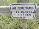 SECONDS Baba Losdene 2005-2005