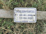 PLAATJIES Shereldon 2004-2005