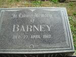 BARNASCHONE Barney -1962