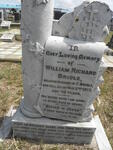 BRIDLE William Richard -1913
