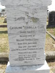 CUFF William Thomas 1861-1939 & Caroline Isabella DALEY 1858-1936 :: CUFF Ellen Elizabeth