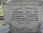 BOSHOFF Johannes 1885-1945 & Johanna 1889-1933 :: BOSHOFF William James -1914