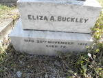 BUCKLEY Eliza A.-1919
