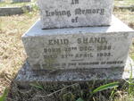 SHAND Enid 1896-1903