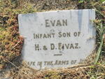 FIVAZ Evan