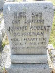 SCHOEMAN Johnnie Robert 1916-1917
