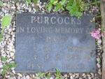 PURCOCKS Dave 1937-1992