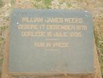 WEEKS William James 1878-1935