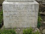 CHALMERS Eliza Jane nee LINDSAY 1839-1862