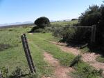 Western Cape, MOSSEL BAY district, Baakfontein 239 farm, cemetery_3