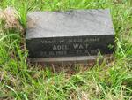 WAIT Adel 1965-1968