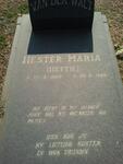 WALT Hester Maria, van der 1969-1990