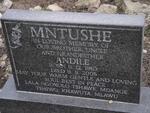 MNTUSHE Andile 1963-2005