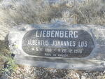 LIEBENBERG Albertus Johannes Lus 1916-1976